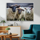 Charming Sheep Portrait Wall Art – Trio of Woolly Companions by MyGreatCanvas | Canvas Wall Art Prints | Photo Prints & Wall Decor