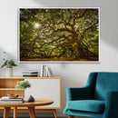 Ancient Angel Oak Tree Art Sunburst Canvas Print-
