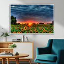 Golden Sunflower Field at Sunset – Breathtaking Sky and