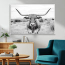 Highland Cow Wall Art Canvas Print – Black and White Western
