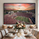 Indiana Memorial Stadium Wall Art Canvas Print, Framed