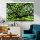 Angel Oak Tree Wall Art Canvas Print – Framed Majestic