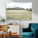Charming Daisy Field Wall Art Canvas Print – Framed Pastel