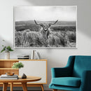 Monochrome Highland Cow Wall Art Canvas Print – Framed by MyGreatCanvas | Canvas Wall Art Prints | Photo Prints & Wall Decor