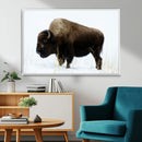 Bison Wall Art Canvas Print – Framed Western Wildlife