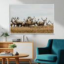 Elk Herd Wall Art Canvas Print – Framed Wildlife Photography