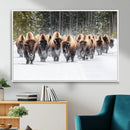 Bison Herd Scene Wall Art Canvas Print – Framed Western by MyGreatCanvas | Canvas Wall Art Prints | Photo Prints & Wall Decor