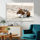Majestic Longhorn Wall Art Canvas Print – Resting on Sunlit by MyGreatCanvas | Canvas Wall Art Prints | Photo Prints & Wall Decor