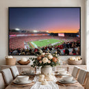 Dooley Stadium Wall Art, Sports Arena Canvas Print, Dooley