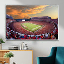 Dooley Stadium Wall Art, Sports Arena Canvas Print, Dooley by MyGreatCanvas | Canvas Wall Art Prints | Photo Prints & Wall Decor