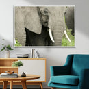 Wild Elephant Wall Art Canvas Print by MyGreatCanvas | Canvas Wall Art Prints | Photo Prints & Wall Decor
