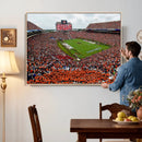 Auburn Stadium Wall Art Canvas Print, Jordan Hare Stadium by MyGreatCanvas | Canvas Wall Art Prints | Photo Prints & Wall Decor
