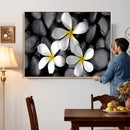 Plumeria Frangipani Black Stone Canvas | White Flower Spa by MyGreatCanvas | Canvas Wall Art Prints | Photo Prints & Wall Decor