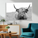 Newfoundland Cow Art Wall Art, Black White Cow Art Wall Art