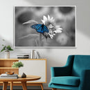 Blue Butterfly Black and White Canvas Wall Art by MyGreatCanvas | Canvas Wall Art Prints | Photo Prints & Wall Decor