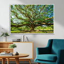 Majestic Oak Tree Wall Art – Serene Nature Canvas Print with