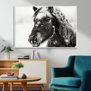 Framed Black and White Horse Wall Art | Ready to Hang and by MyGreatCanvas | Canvas Wall Art Prints | Photo Prints & Wall Decor