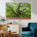 Framed Angel Oak Tree Wall Art - 3-Panel Canvas Prints,