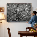 Majestic Angel Oak Tree Black and White Canvas Print – Multi
