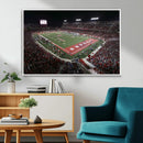 Houston Cougars Football Team Print - Houston TDECU Stadium