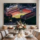 University of Illinois Fighting Illini Football Team Print -