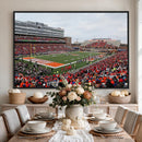 University of Illinois Fighting Illini Football Team Print -