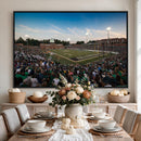 University of Charlotte 49ers Football Team Print -