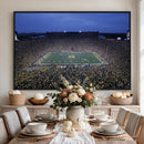 University of Michigan Wolverines Football Team Print - Ann