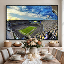Framed USF Bulls Football Team Print - Tampa Raymond James