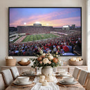 Indiana University Hoosiers Football Team Print -