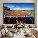 Ball State Cardinals Football Team Print - Muncie Scheumann