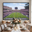 TCU Horned Frogs Football Team Print - Fort Worth Amon G.