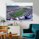 The Texas Christian University TCU Horned Frogs Football