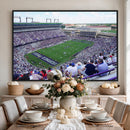 The Texas Christian University TCU Horned Frogs Football