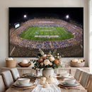 The University of Connecticut UCONN Huskies Football Team