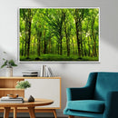 Lush Green Forest Canvas Print | 3-Panel Forest Wall Art |