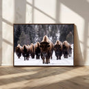 Bison Wall Art Canvas Print- Bison Herd Canvas Wall Art –