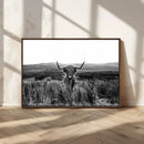 Black and White Highland Cow Canvas Wall Art, Longhorn by MyGreatCanvas | Canvas Wall Art Prints | Photo Prints & Wall Decor