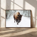 Bison Wall Art Canvas Print For Farmhouse, Animal Canvas