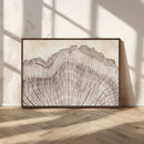 Tree Ring Wall Art Triptych, Rustic Wood Ring Canvas Print,