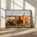 Highland Cow Canvas Wall Art Animal Print for Farm House