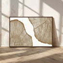 Rustic Brown Tree Ring Wall Art Canvas Print – Framed and