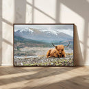 Highland Cow Horn Farm Wall Art Canvas Print