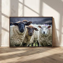 Charming Sheep Portrait Wall Art – Trio of Woolly Companions by MyGreatCanvas | Canvas Wall Art Prints | Photo Prints & Wall Decor