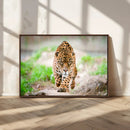 Leopard on the Prowl - Stunning Large Framed Leopard Wall