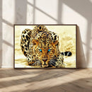 Blue-Eyed Leopard Canvas Wall Art - Framed Animal Print