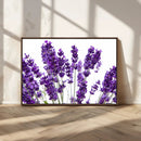 Lavender Flower Wall Art Canvas Print by MyGreatCanvas | Canvas Wall Art Prints | Photo Prints & Wall Decor