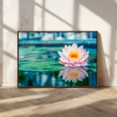 Lotus Flower Wall Art Canvas Print, Water Lily Large Wall
