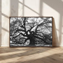 Ancient Oak Wall Art Canvas Print – Gnarled Tree Twisted by MyGreatCanvas | Canvas Wall Art Prints | Photo Prints & Wall Decor