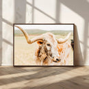 Texas Longhorn Wall Art Canvas Print – Framed Spotted Cow
